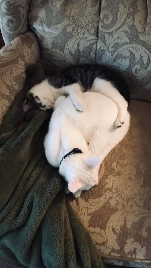 My boy is the best nanny I could ever ask for