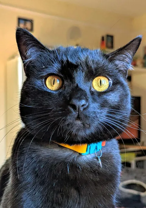 A very distinguished young man