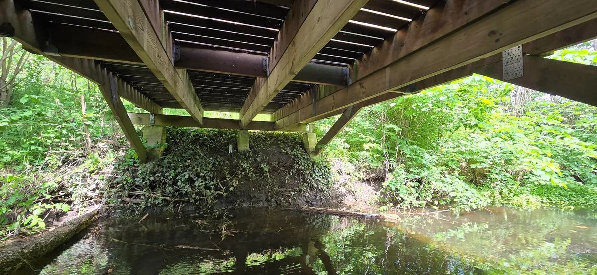 Built a Greenhouse on a Deck Over my Creek: A Summer-Long DIY Adventure
