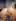 Godpussy like this, yes or no