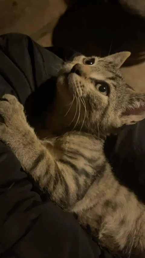 spoiled and deserves it!!