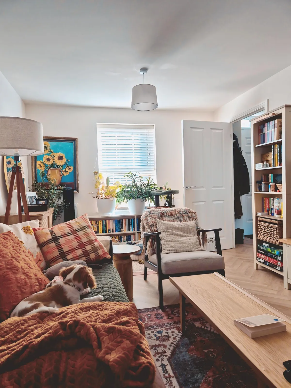 Feeling cozy with my pup and kitty on a chilly autumn day