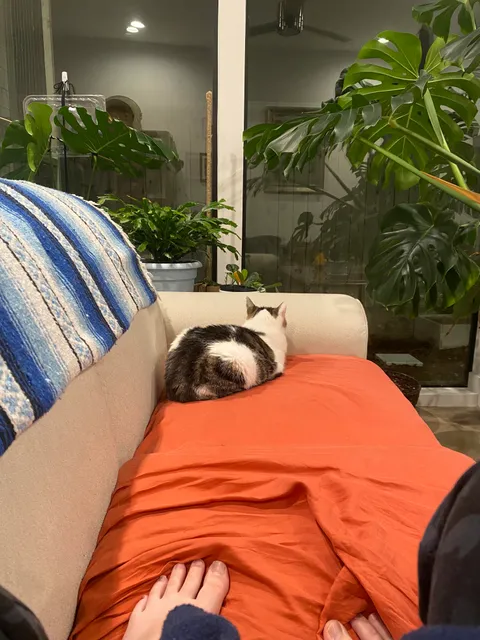 she comes down two flights of stairs just to sit facing away from me, like shes mad. why