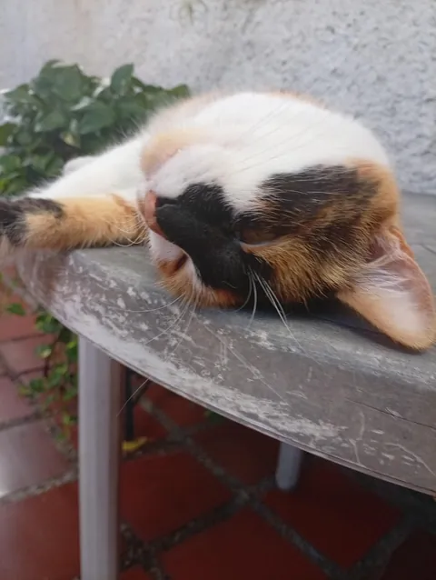 Every time I say his name he turns around and looks me in the eyes