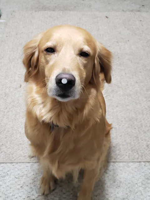 Sitting in my office, going about my work day when I turn to find this... 