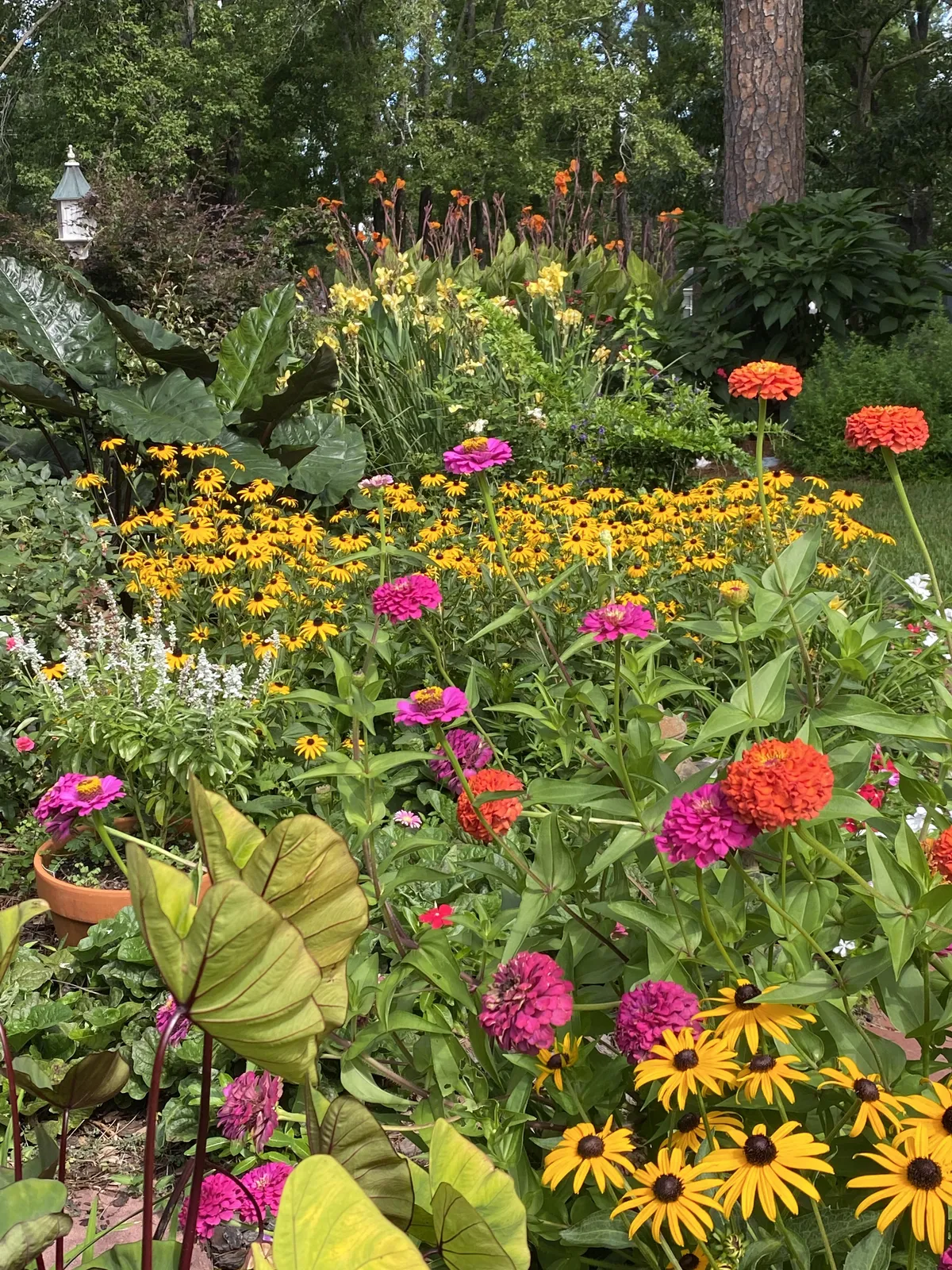 Must be all this rain ❤️🌧