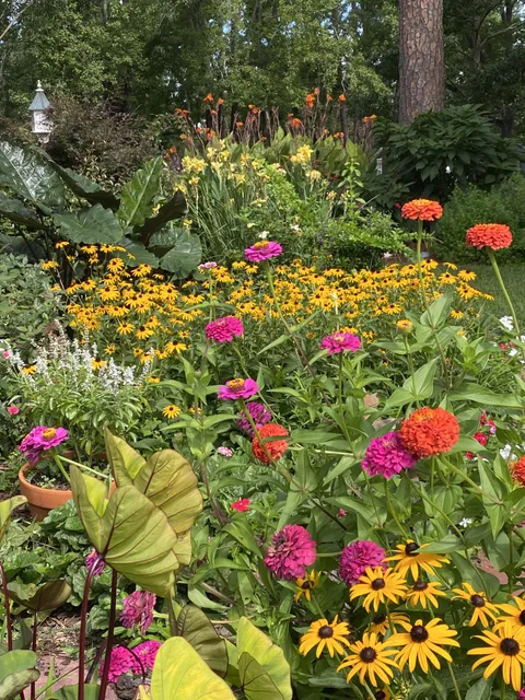 Must be all this rain ❤️🌧