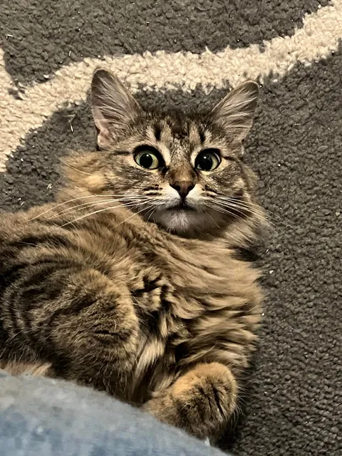 I'd just like to share the look on her face. Have a great day!