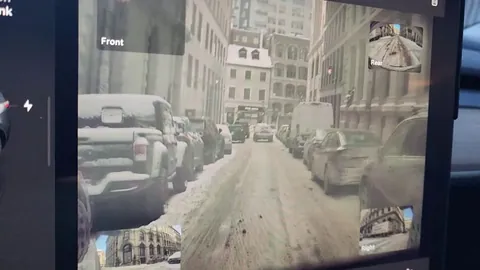 [Oc] She just parked like its her dads property. Then has the audacity to tell me i can easily pass