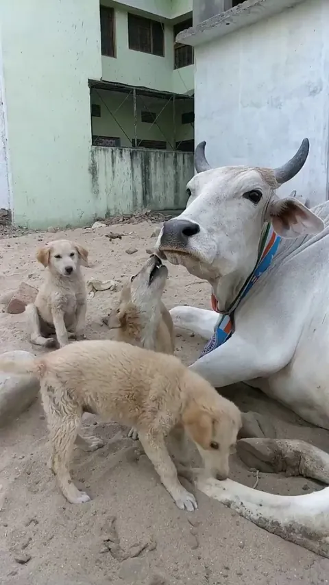 Chillin out after lunch