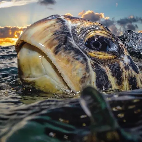 🔥 Coming Up for Air 🔥