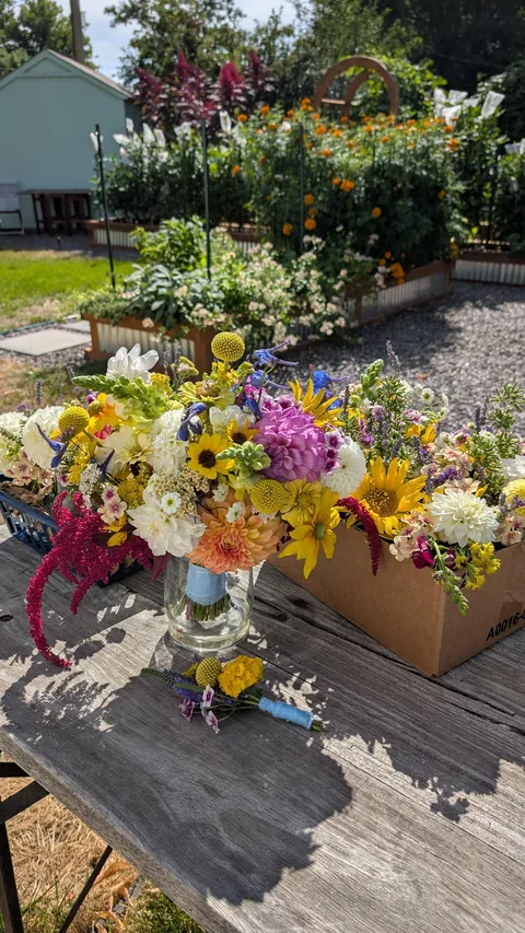 Three years ago I replaced my lawn with garden beds to cope with chronic illness and depression. What started as a hobby has grown into a small flower farm and a brighter chapter in my life.