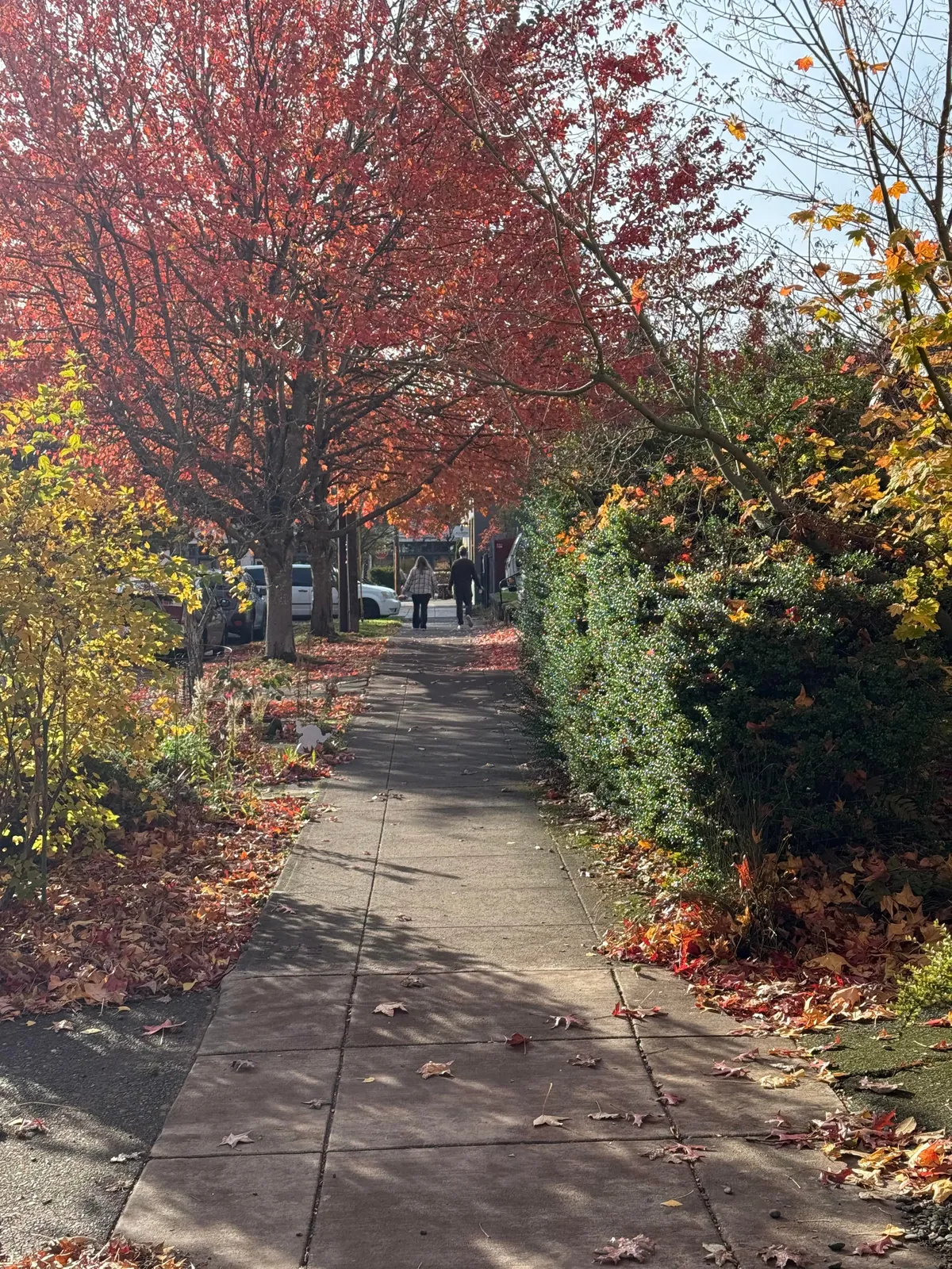 [OC] Just returned from the war zone in Portland /s