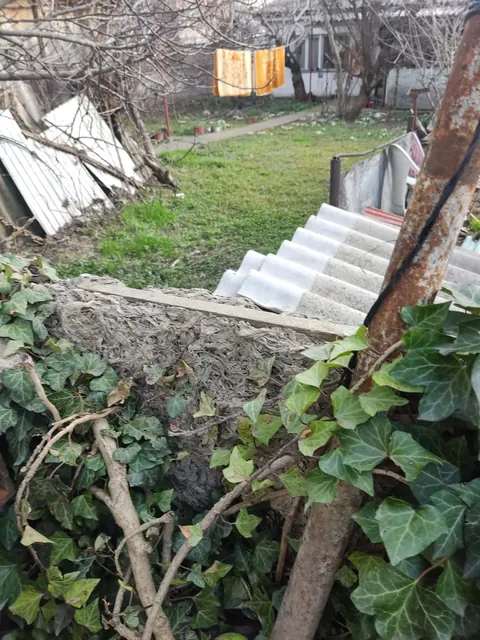 Just found out i have asbestos in my fence and my dog has been standing and scratching it for 2 years.