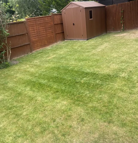 My lawn grows rectangular patch of longer and thicker grass where there was once a pond