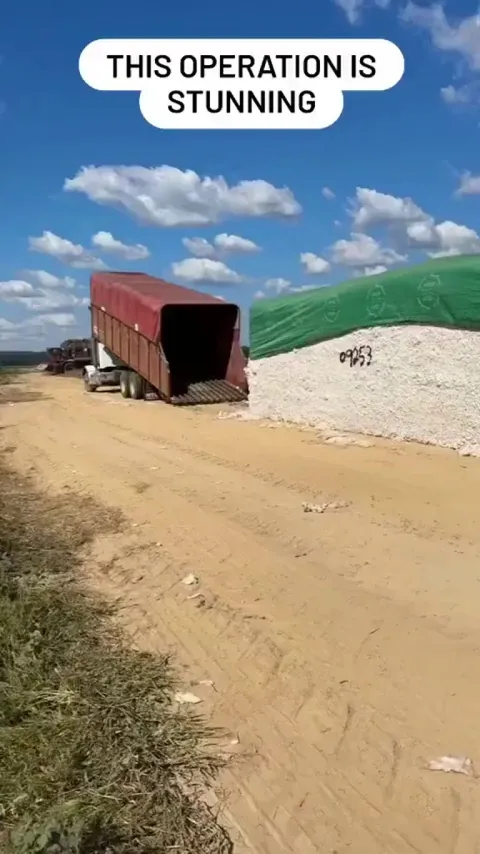 This truck picking up cotton