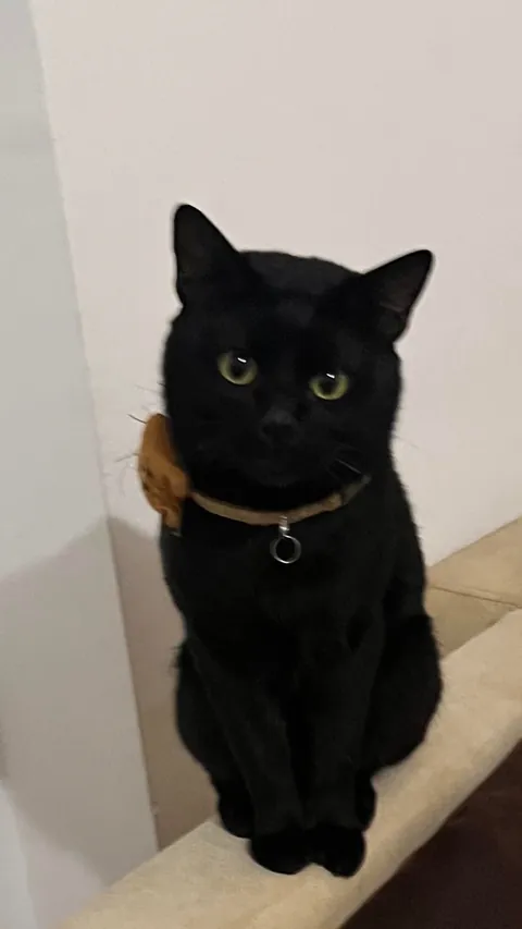 How i found him vs him now