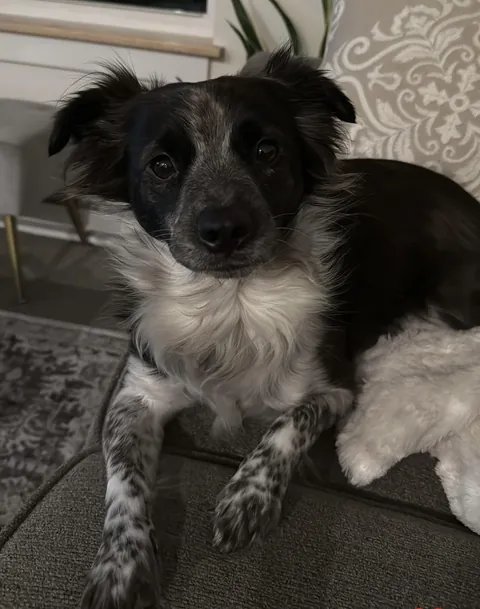 Larry says hello everyone!