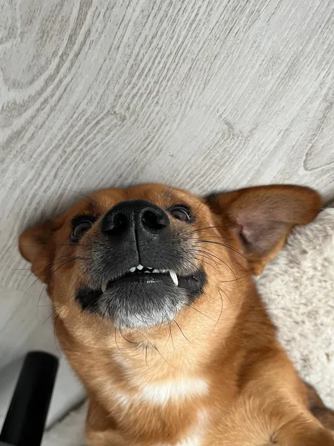 The first thing you ate today will be his name