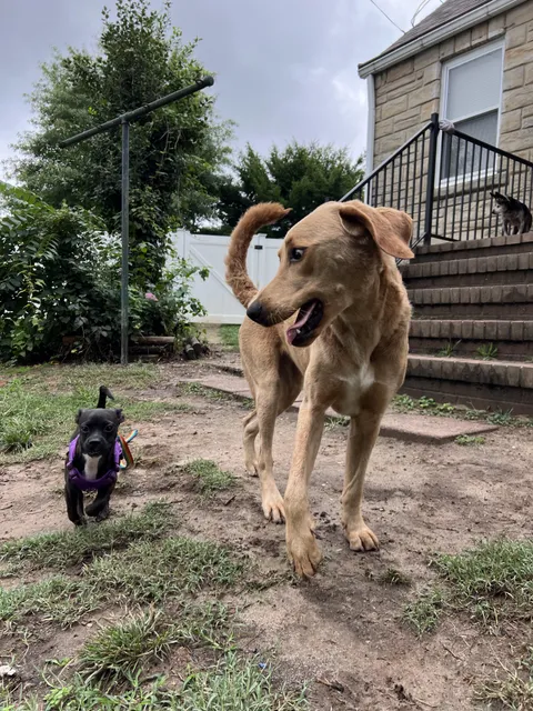 “WHY IS SHE SO SMALL?!” 