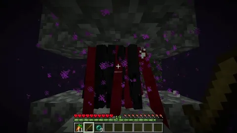 Why do endermen keep teleporting out of my farm?