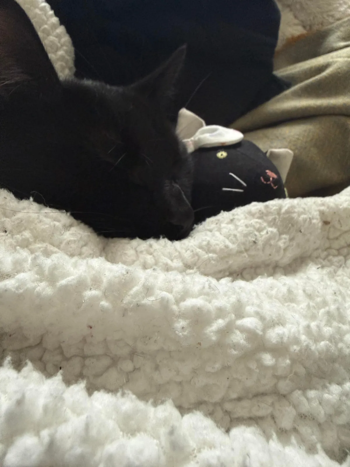 Soup Update: HE IS AN ADULT!!!