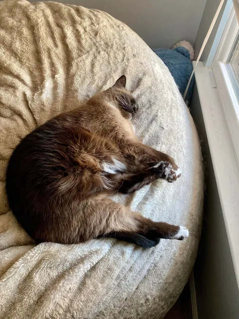 I didn’t know it would be our last day together