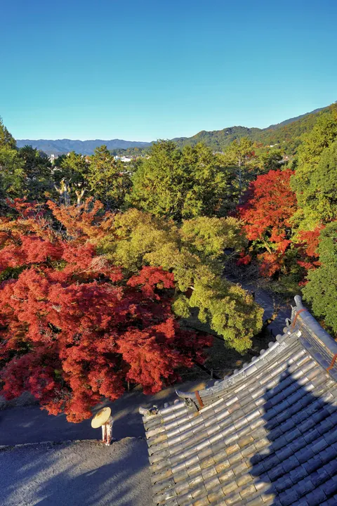 Fall colors in Japan