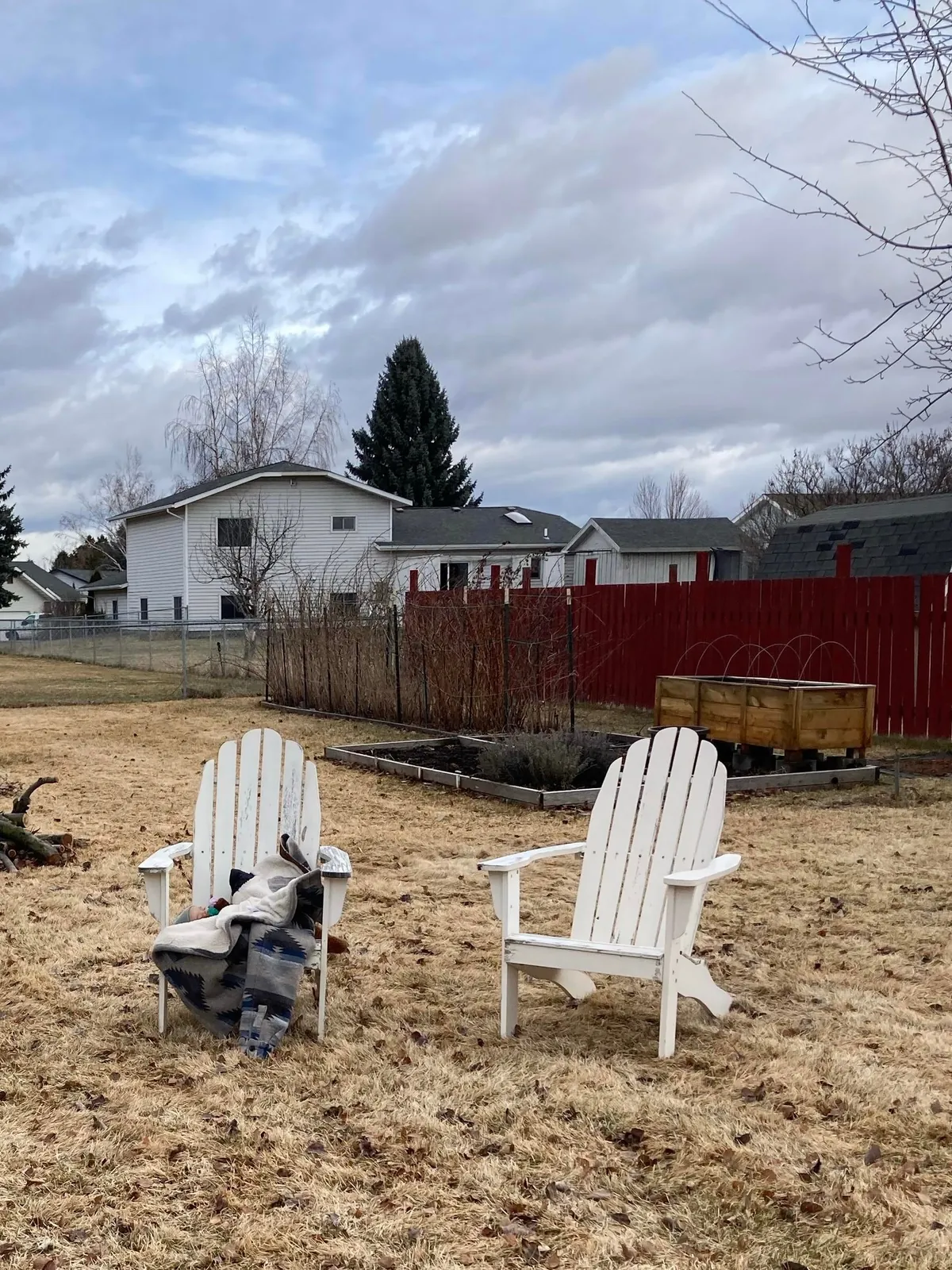 My wife asked for new raised beds so naturally I replaced the entire garden.