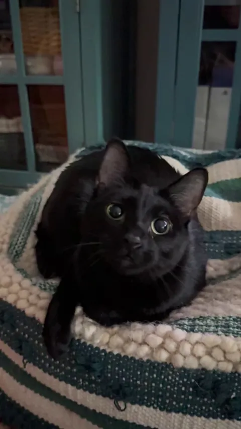 Bonnie and her big eyes