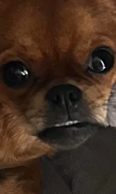 Folks call him DA BOY round these parts, his legal name is Mo