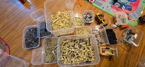 Wife got me the Notre-Dame set as a gift, my son decided to open every single bag at once...