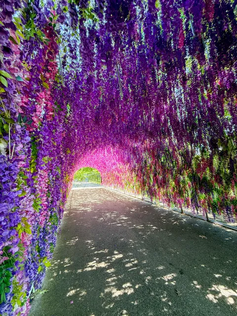 Flower tunnel at Baltimore Zoo [OC]