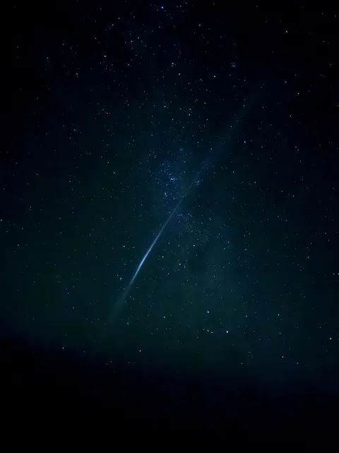 What did I see this morning?