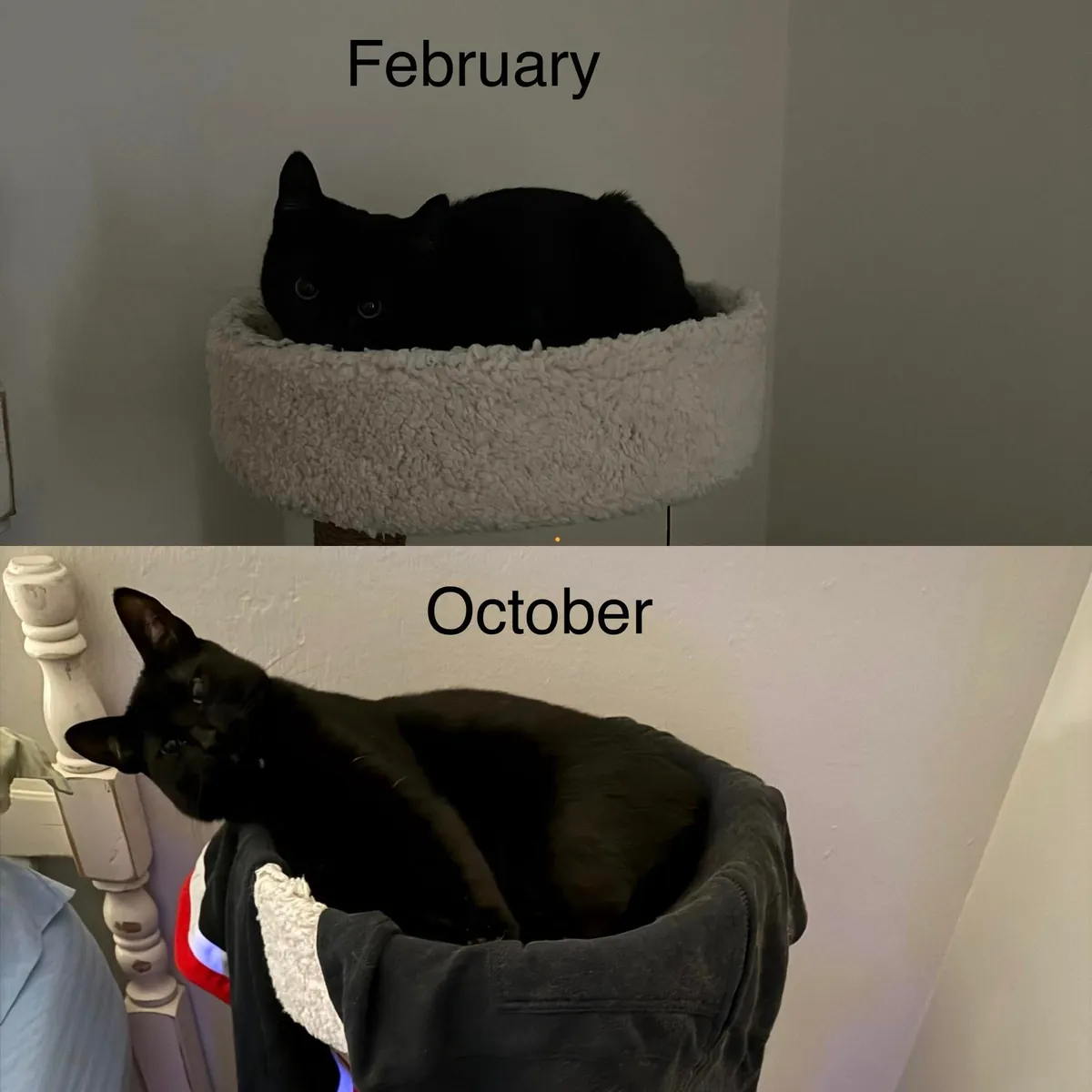 Soup Update: HE IS AN ADULT!!!