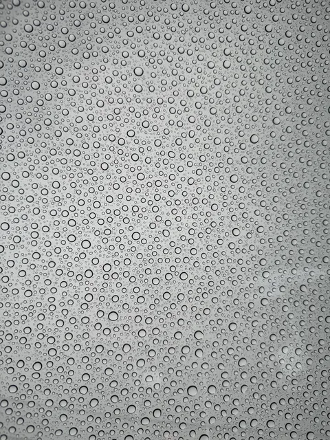 ITAP of rain on the roof of my car