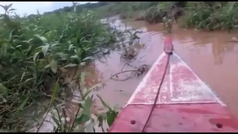 Man calmly steers his boat through crocodile-infested waters !