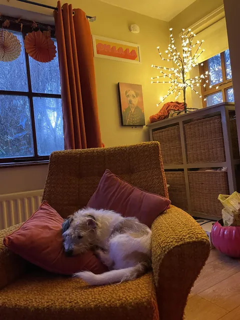 Lighting changes everything!