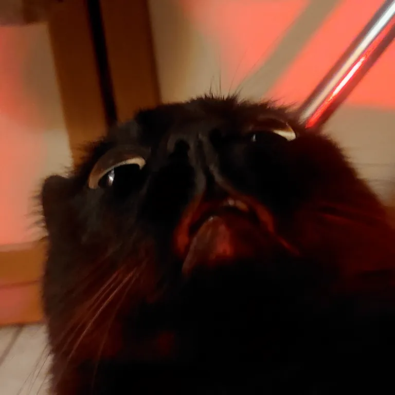 Upstairs noise detected!