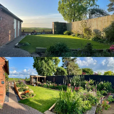 Our 2025 garden project (Staffordshire, UK)