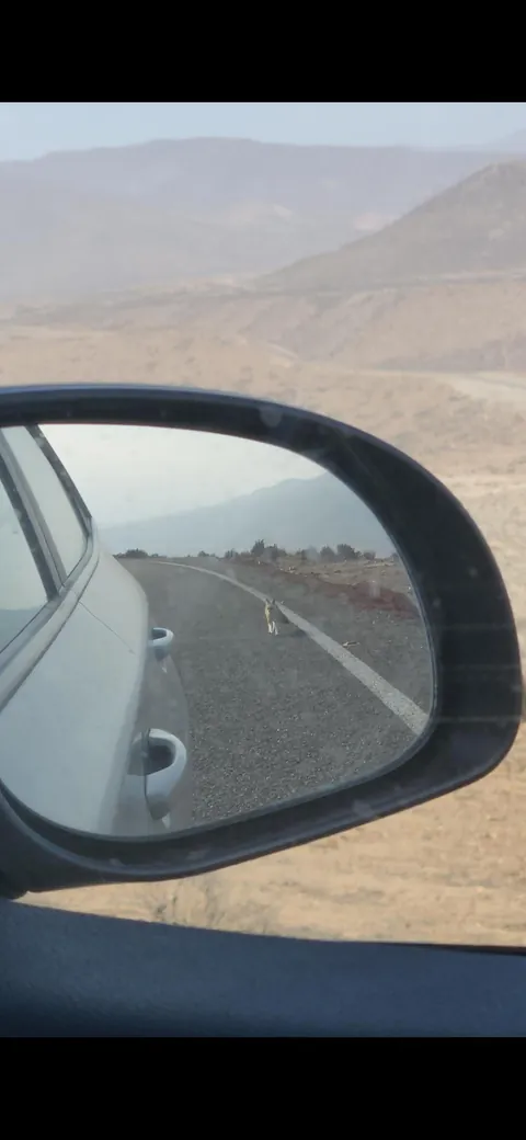 A few pics from my first time in Chile