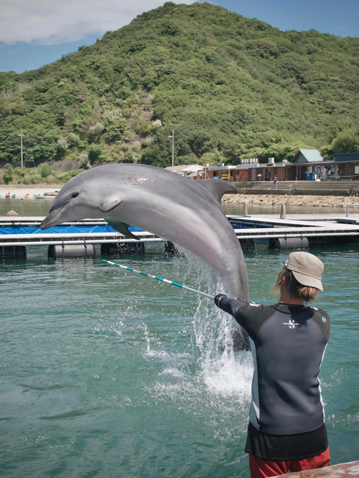 Exploring Japan… As a Japanese Person