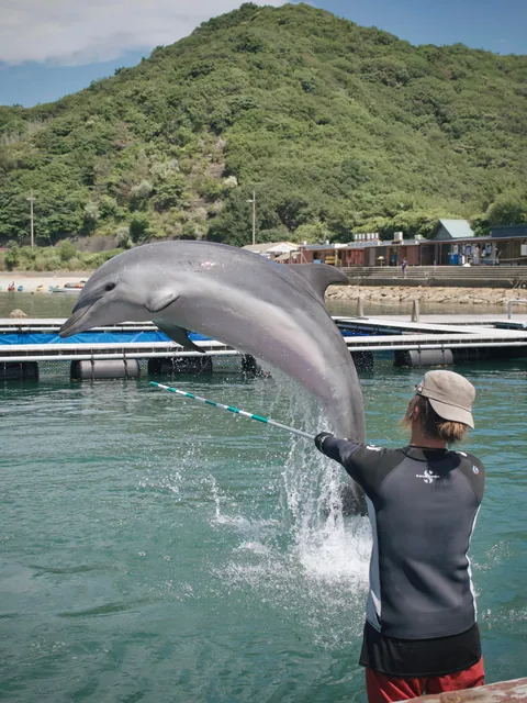 Exploring Japan… As a Japanese Person