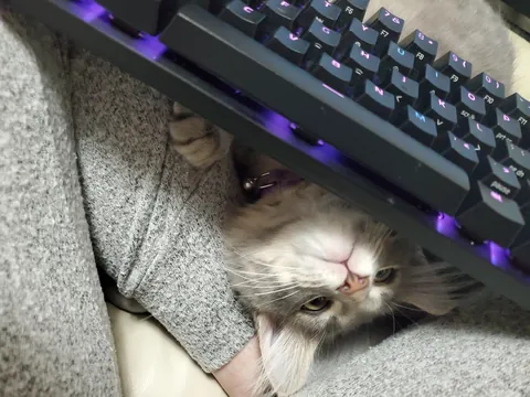 "You won't want to deal with it"