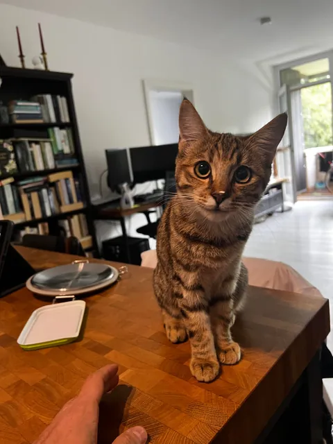 I wasn’t paying attention for literally 5 seconds 💀