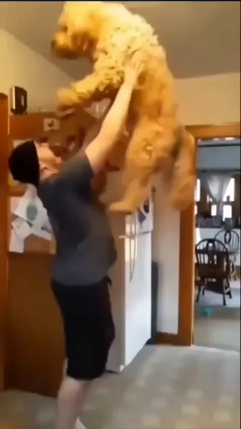 Daddy me too..once again daddy!