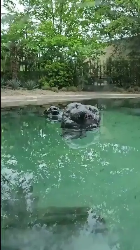 my soul left my body when i saw that😭