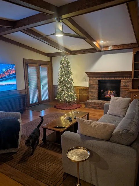 Alone on the holidays.