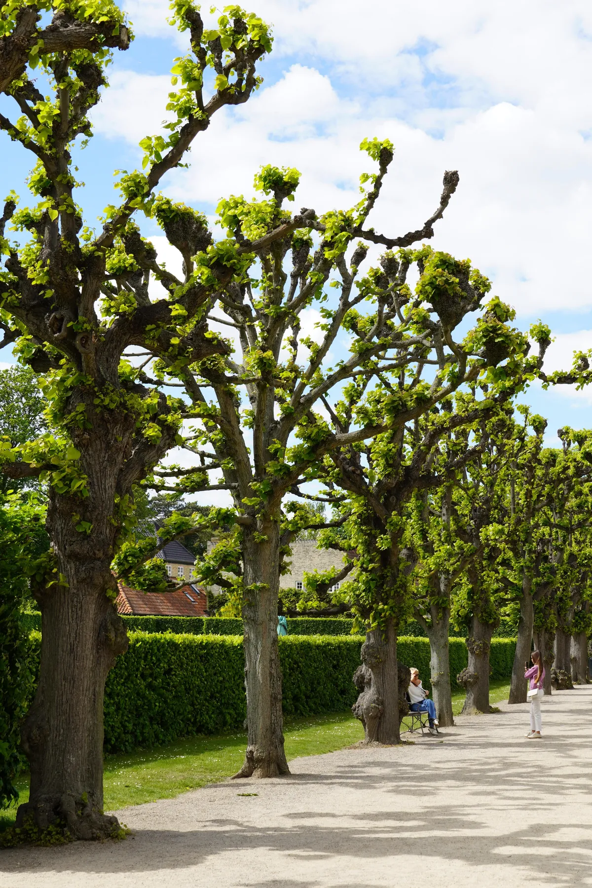Copenhagen in Late Summer is Perfection!