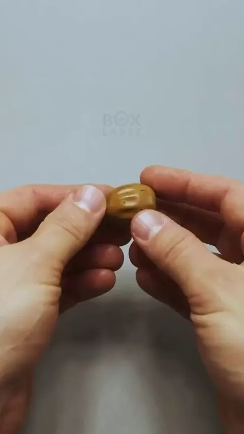 🔥 Time lapse of an oak tree sprouting from an acorn